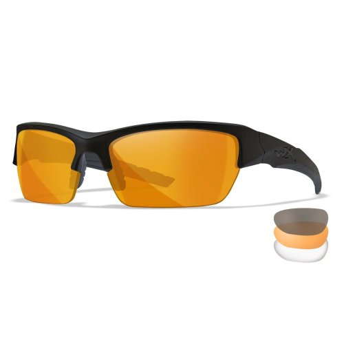 Ballistic Eye Protection