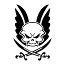 Warrior Assault Systems